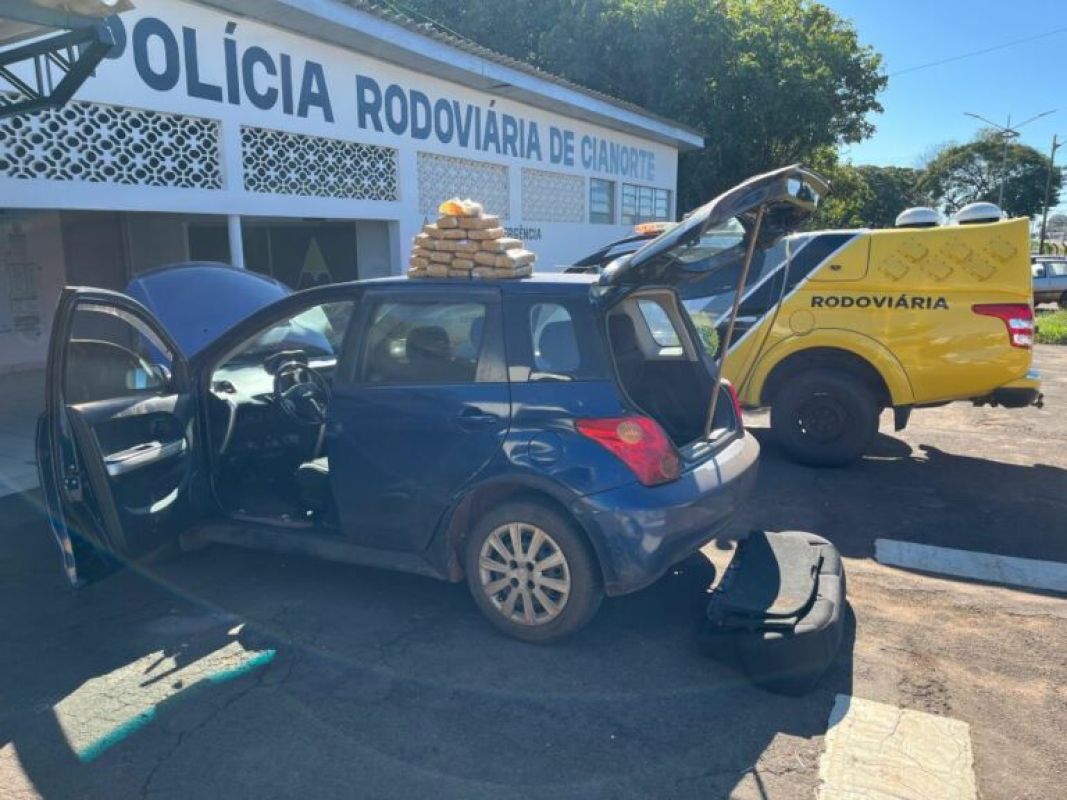 BPRv apreende drogas com auxílio de cães na PR-323, em Cianorte