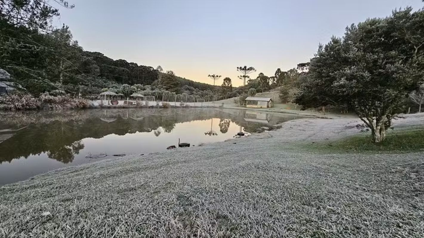 Frio de -7,8 °C e geada: 20 municípios Paraná registram temperaturas negativas